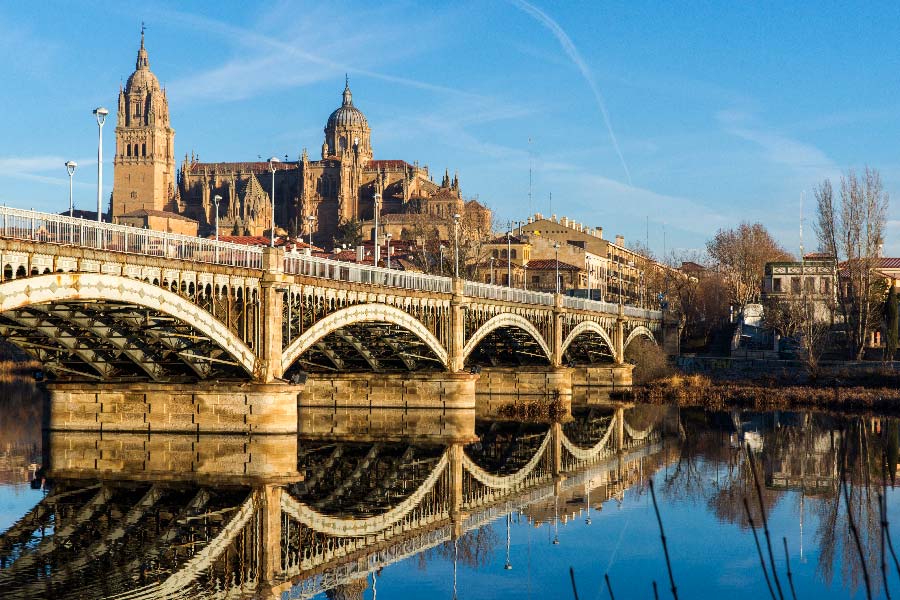 vista del rio de salamanca y la catedral